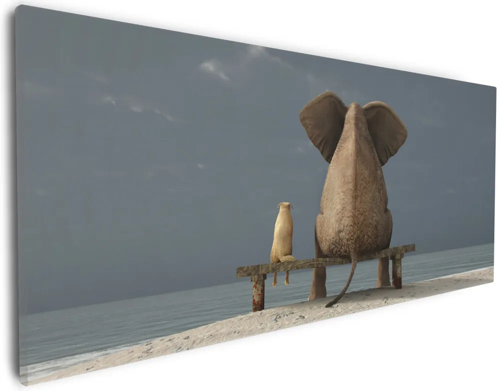 Angebot Leinwandbild Elefant und Hund sitzen auf einer Bank 50 x 50 cm