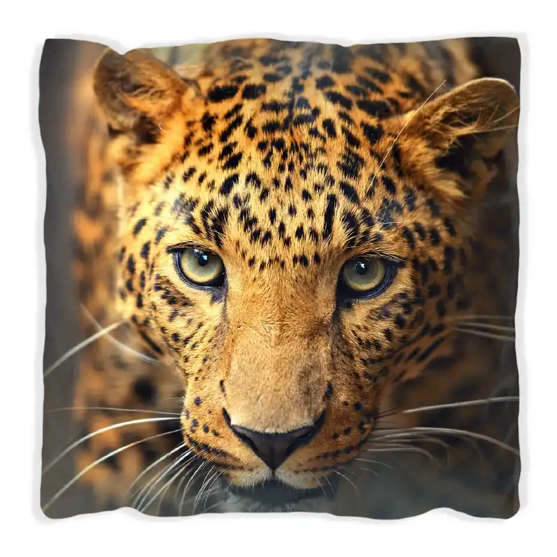 Zertifiziert Kissen Leopard in Nahaufnahme beim Laufen 30 x 30 cm, schwarz