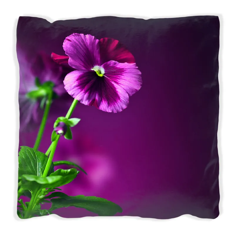 Zertifiziert Kissen Lila Stiefmütterchen 60 x 60 cm, Foto