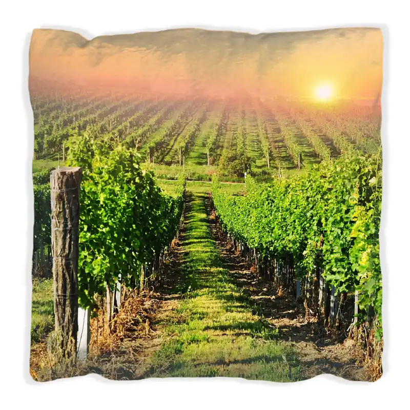 Zertifiziert Kissen Weinberg mit untergehender Sonne 30 x 30 cm, Foto