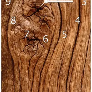 Zertifiziert Wanduhr aus Glas Holzstamm mit Asteinschluss mit schwarzen Zeigern, 30 x 60 cm