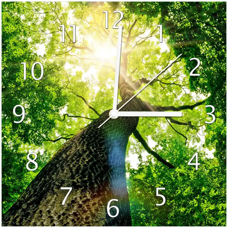Zertifiziert Wanduhr aus Glas Laubbaum aus der Froschperspektive mit weißen Zeigern, 30 x 30 cm