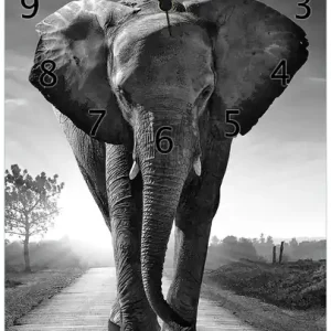 Zertifiziert Wanduhr aus Glas Elefant bei Sonnenaufgang in Afrika schwarzweiß mit weißen Zeigern, 30 x 30 cm