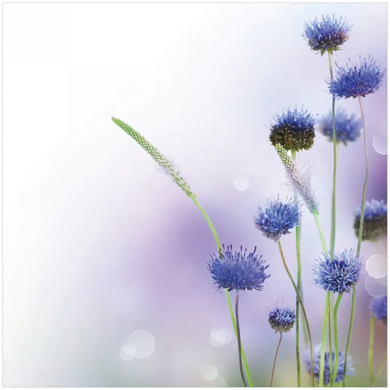 Zertifiziert Memoboard Abstrakte lila Blume 50 x 50 cm, aus Glas