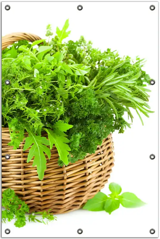 Gartenposter Korb voller Kräuter in der Küche ca. 60 x 90 cm Sale