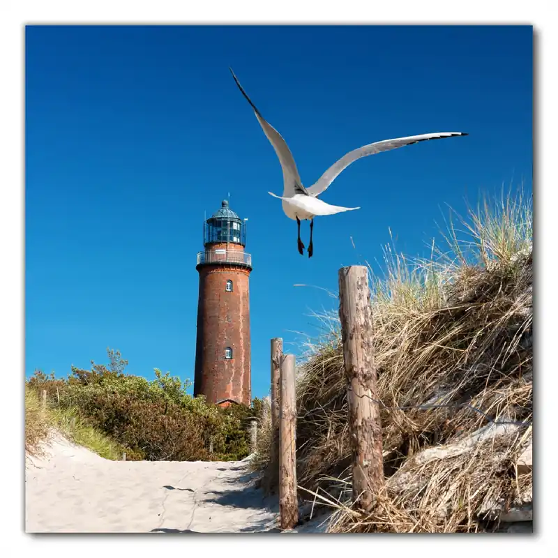 Zertifiziert Selbstklebende Möbelfolie Möwe am Strand mit Leuchtturm 90 x 90 cm