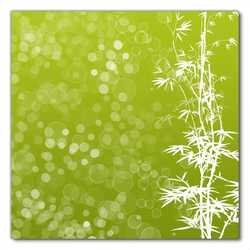 Selbstklebende Möbelfolie Bambusmuster grün-weiß 100 x 100 cm Garantierte Lieferung