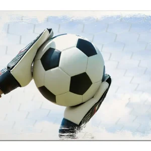 Markenware Holzbild Fußball - Torwart im Tor vor blauem Himmel 40 x 40 cm