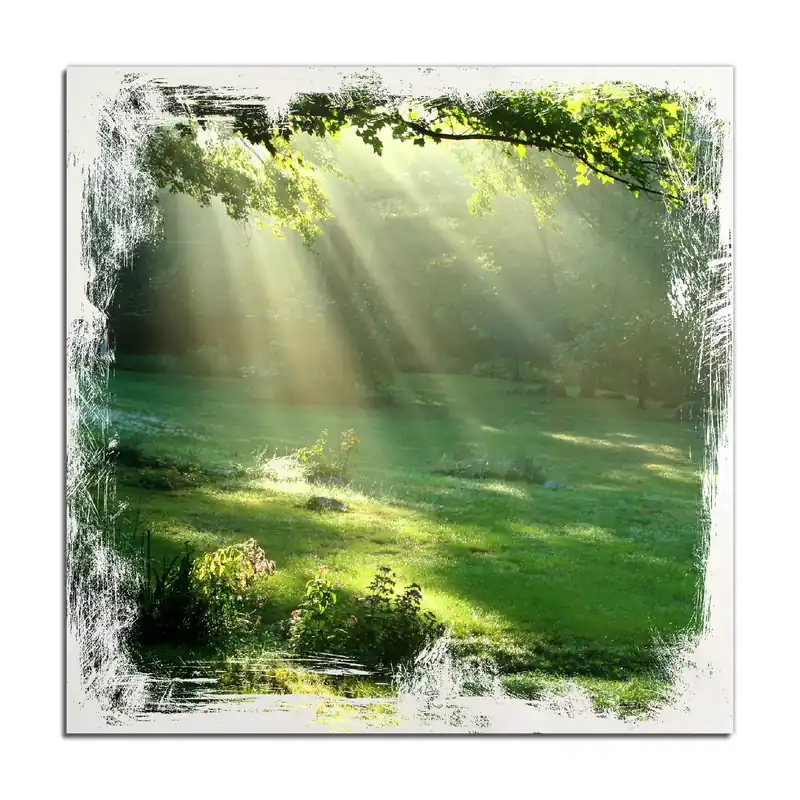 Sichere Zahlung Holzbild Sonnenstrahlen im Wald 50 x 50 cm