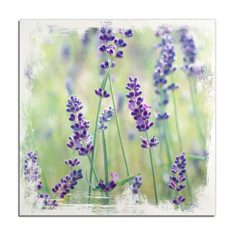 Holzbild Lila Blumenfreude - Violette Pflanzen auf der Wiese 40 x 40 cm Sale