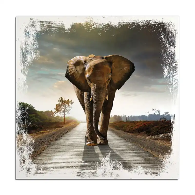 Sichere Zahlung Holzbild Elefant bei Sonnenaufgang in Afrika 50 x 125 cm