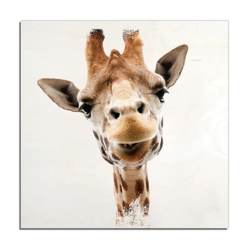 Preis Gesenkt Holzbild Giraffenkopf 50 x 125 cm