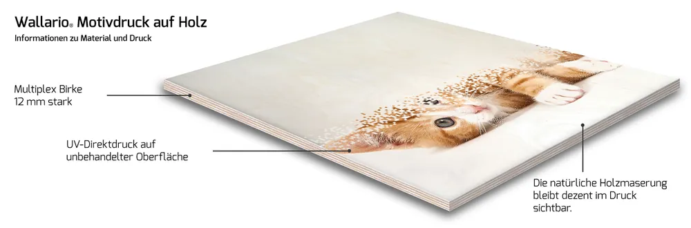 Holzbild Sri Lanka - Palmenstrand mit Sonnenuntergang 50 x 125 cm Top-Seller