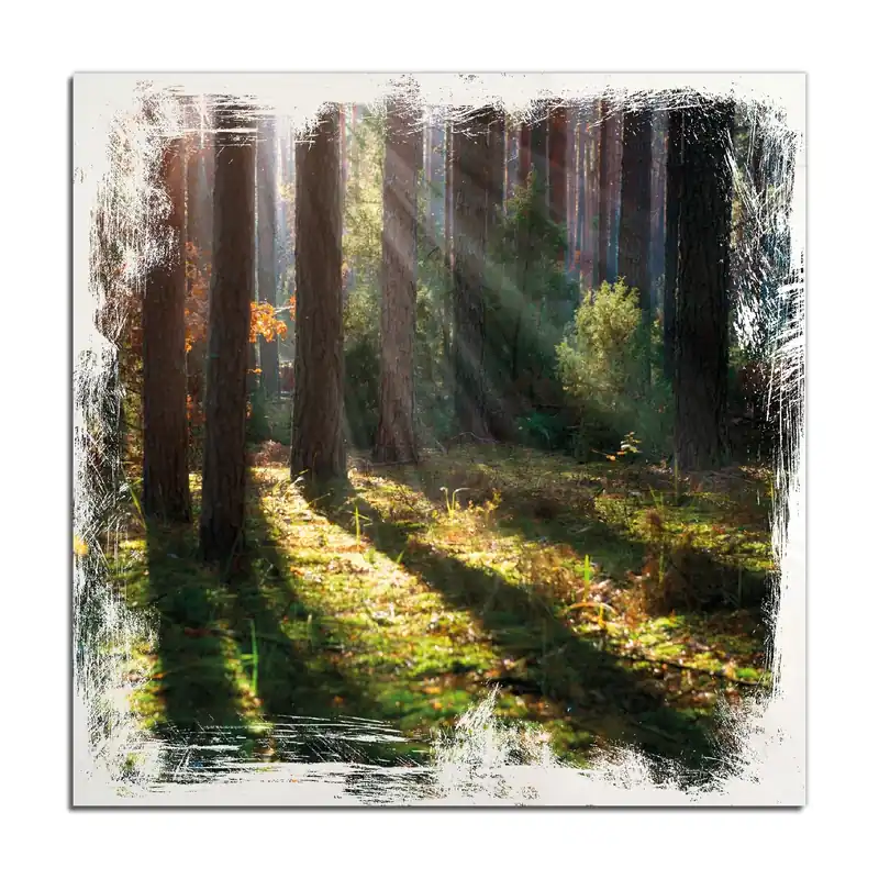 Sichere Zahlung Holzbild Sonnenstrahlen im Herbstwald 60 x 90 cm