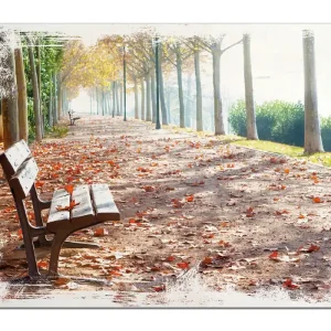Kostenloser Rückversand Holzbild Einsame Parkbank an einer Allee - Herbststimmung 50 x 50 cm