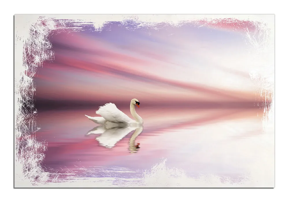 Holzbild Weißer Schwan im rosafarbenen See 50 x 50 cm Heißes Angebot