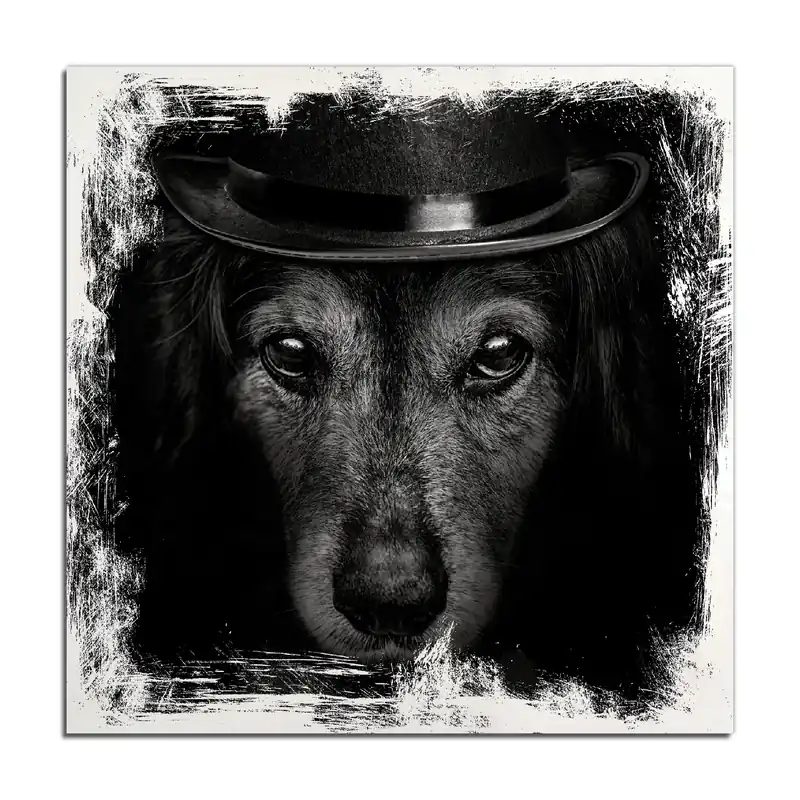 Sonderangebot Holzbild Eleganter Hund mit Zylinder in schwarz-weiß 50 x 50 cm