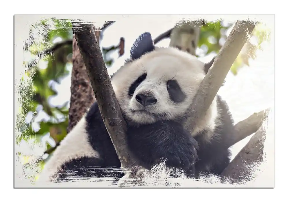 Neu Im Sortiment Holzbild Schlafender Panda in einem Baum 60 x 90 cm