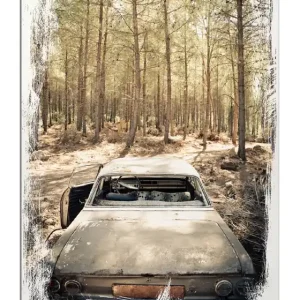 Preisreduziert Holzbild Verrosteter Oldtimer im Wald 60 x 90 cm