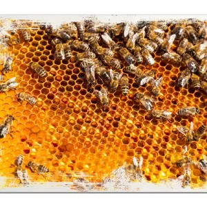 Neu Im Sortiment Holzbild Honigwaben mit Bienen 60 x 90 cm