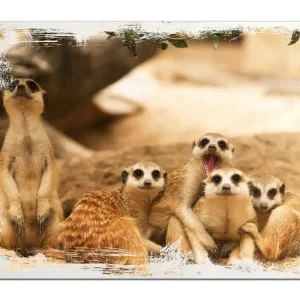 Holzbild Niedliche Erdmännchen kuscheln im Sand 60 x 90 cm Mega-Angebot