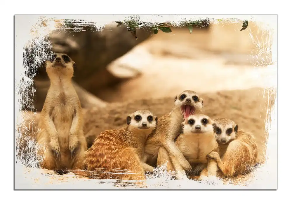 Holzbild Niedliche Erdmännchen kuscheln im Sand 60 x 90 cm Mega-Angebot