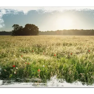 Holzbild Wiese im Licht der Abendsonne 60 x 90 cm Kostenloser Versand