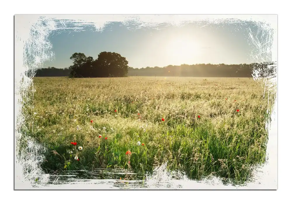 Holzbild Wiese im Licht der Abendsonne 60 x 90 cm Kostenloser Versand