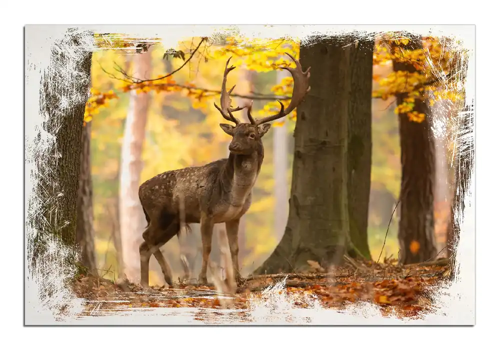 Super-Preis Holzbild Damhirsch im Herbstwald 60 x 90 cm
