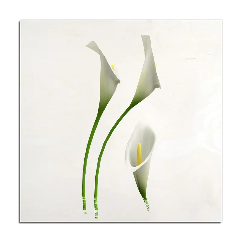 Letzte Chance Holzbild Callas weiß gelb 50 x 50 cm