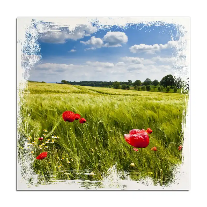 Schneller Versand Holzbild Mohnblumenwiese auf grüner Wiese unter blauem Himmel 50 x 50 cm