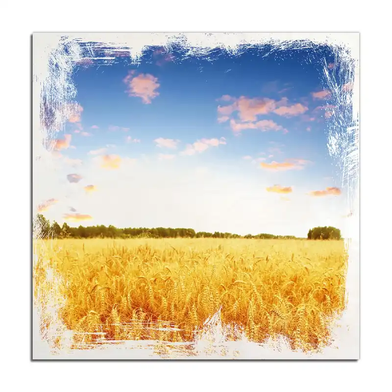 Mega-Angebot Holzbild Weizenfeld unter blauem Himmel 60 x 90 cm