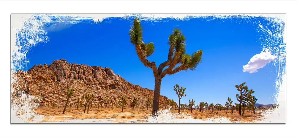 Preis Gesenkt Holzbild Palmlilie im Nationalpark Yucca Valley Wüstenlandschaft 50 x 50 cm