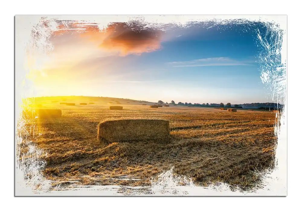 Holzbild Stroh auf dem Feld bei untergehender Sonne 60 x 90 cm Direktkauf