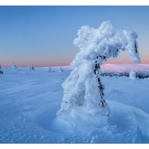 Versand Am Gleichen Tag Selbstklebendes Poster Schneeskulptur 50 x 125 cm