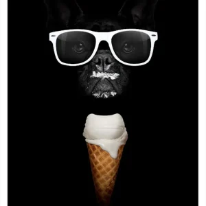 Kracherpreis Selbstklebendes Poster Hund mit Eis 70 x 100 cm