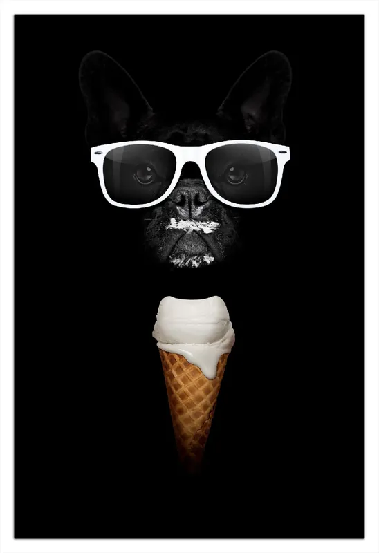 Kracherpreis Selbstklebendes Poster Hund mit Eis 70 x 100 cm