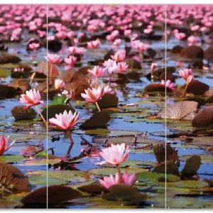 Zertifiziert Herdabdeckplatte Seerosenlandschaft mit rosa Blüten Breite 60 cm x Höhe 52 cm. 1-teilig, 5 mm hohe Noppen