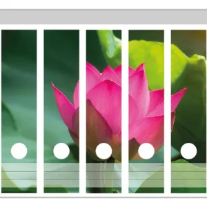Zertifiziert Ordnerrücken Sticker Pinke Lotosblüte im Sonnenschein inkl. breiter Ordner, 9 Sticker