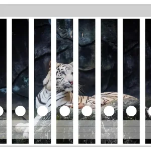 Zertifiziert Ordnerrücken Sticker Weißer Tiger auf einem Felsen inkl. schmaler Ordner, 8 Sticker