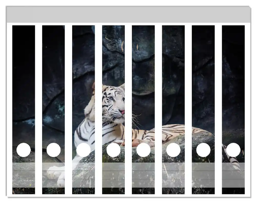 Zertifiziert Ordnerrücken Sticker Weißer Tiger auf einem Felsen inkl. schmaler Ordner, 8 Sticker