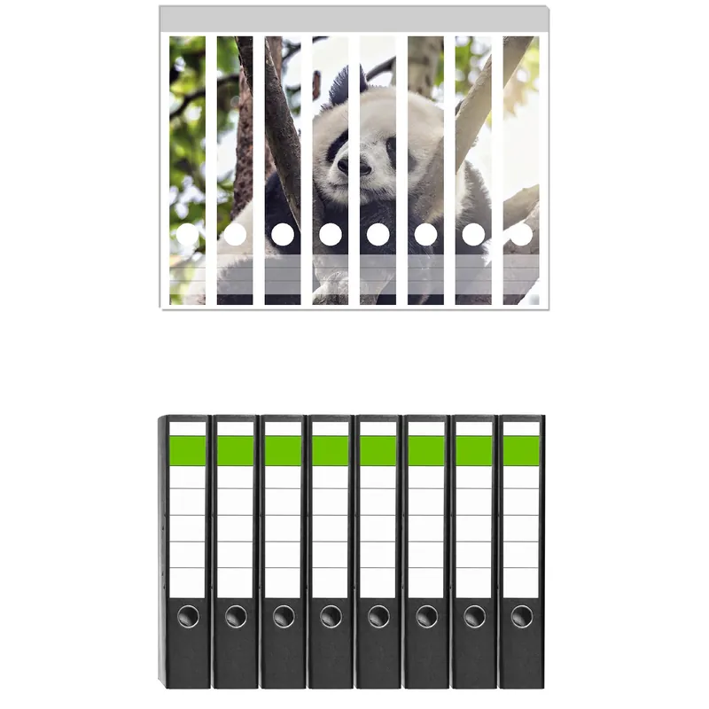 Zertifiziert Ordnerrücken Sticker Schlafender Panda in einem Baum inkl. schmaler Ordner, 8 Sticker