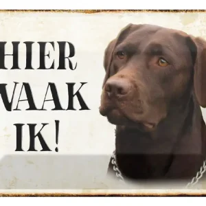 Zertifiziert Metallbild Blechschild Spruch 30x20cm holländisch Hier Waak ik brauner Labrador 20 x 30 cm