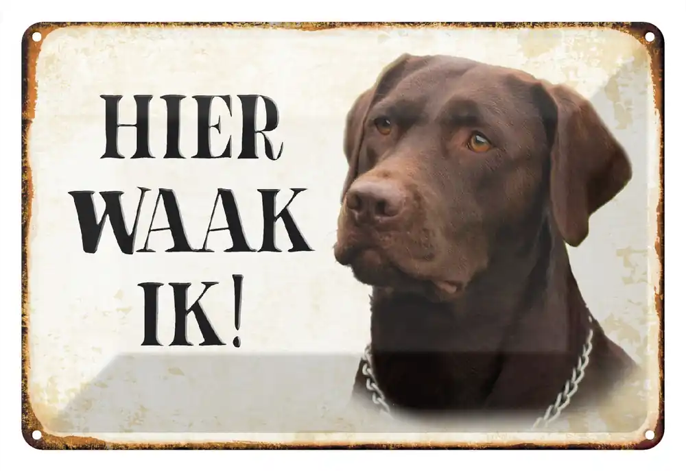 Zertifiziert Metallbild Blechschild Spruch 30x20cm holländisch Hier Waak ik brauner Labrador 20 x 30 cm