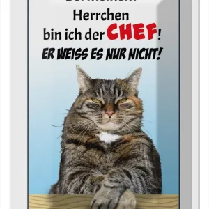 Zertifiziert Metallbild Blechschild Spruch 20x30cm Katze bei meinem Herrchen Chef 20 x 30 cm