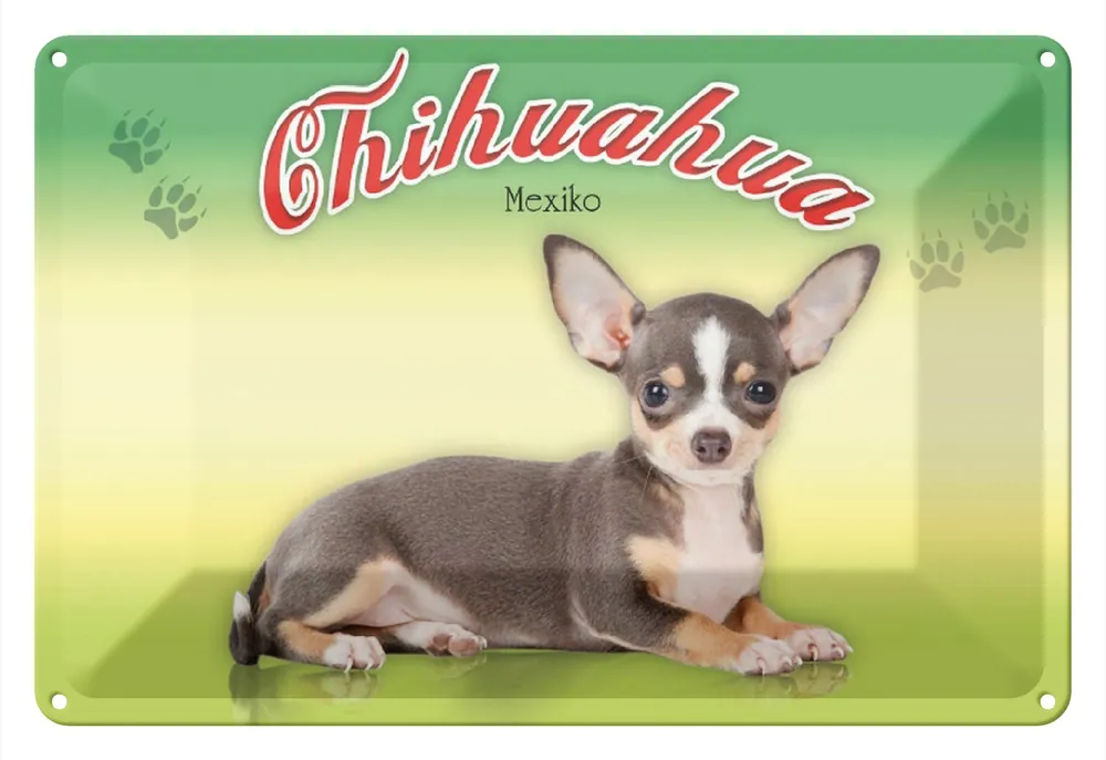 Schneller Versand Metallbild Blechschild Hund 30x20cm Chihuahua Mexiko Wanddeko 20 x 30 cm