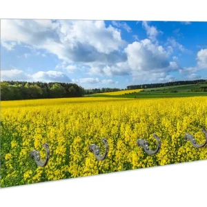 Angebot Schlüsselbrett Blühendes Rapsfeld