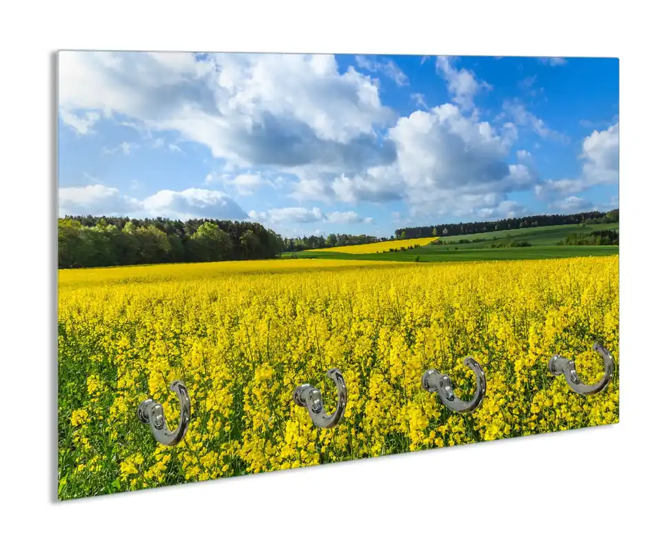 Angebot Schlüsselbrett Blühendes Rapsfeld
