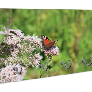 Schlüsselbrett Schmetterling auf Blüte Abverkauf