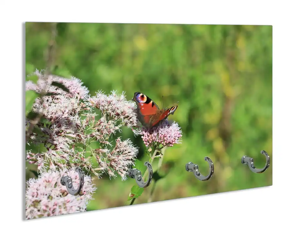Schlüsselbrett Schmetterling auf Blüte Abverkauf